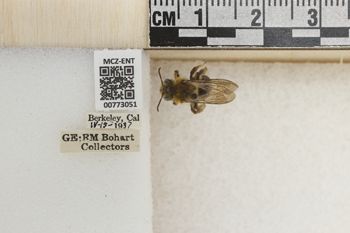 Media type: image;   Entomology 773051 Aspect: Labels